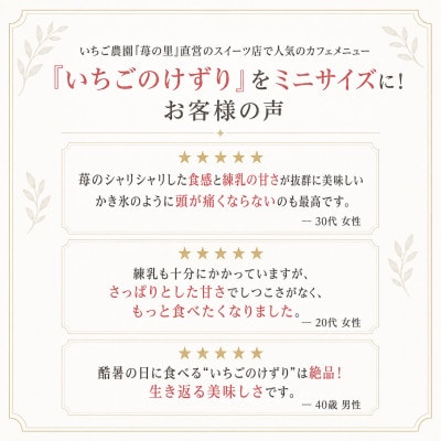 苺の里　いちごのけずりミニ6個セット