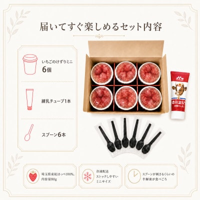 苺の里　いちごのけずりミニ6個セット