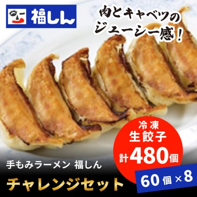 「福しんチャレンジセット」　冷凍生餃子60個×8