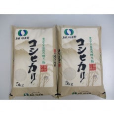 【令和5年産】埼玉県産 コシヒカリ 10kg(5kg&times;2袋)精米