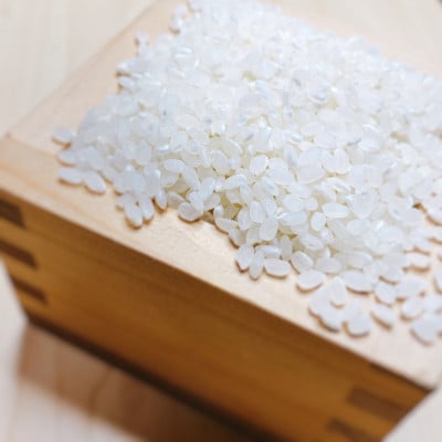 【令和5年産】埼玉県産　コシヒカリ　10kg(5kg×2袋)精米