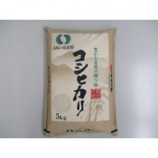 【令和5年産】埼玉県産 コシヒカリ 5kg 精米