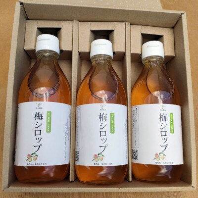 毛呂山町産白加賀梅使用 梅シロップ3本セット【A01】