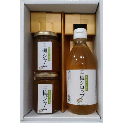 毛呂山町産梅使用 梅ギフトセット【B02】