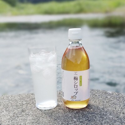毛呂山町産ゆず・梅シロップ2本セット【C02】