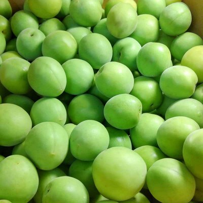 【C01】武州農園の白加賀(生梅)2L～　3kg
