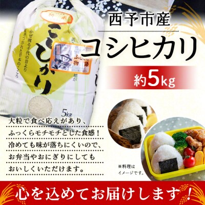 <令和8年産:大竹農園　「コシヒカリ」5kg>　米　コメ　ご飯　西予市　宇和