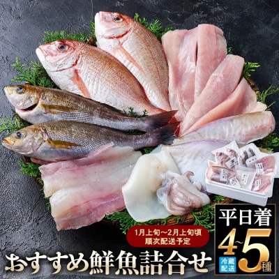 <平日着>おすすめ鮮魚詰め合わせ(4～5種類)【7～8月・年末年始配送不可】