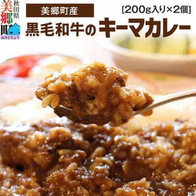 美郷町産黒毛和牛のキーマカレー2個入 あきた美郷づくり|01_amd-143501