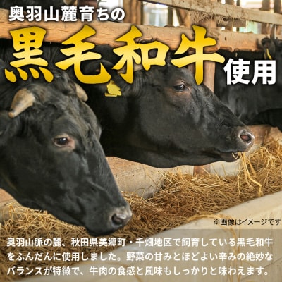 美郷町産黒毛和牛のキーマカレー2個入 あきた美郷づくり|01_amd-143501