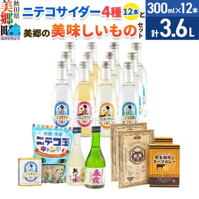 炭酸飲料 ニテコサイダー4種12本と美郷の美味しいものセット|01_amd-670101