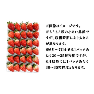 夏イチゴ「秋田夏響」 生 20～35粒詰め合わせ×2パック|01_ats-130201