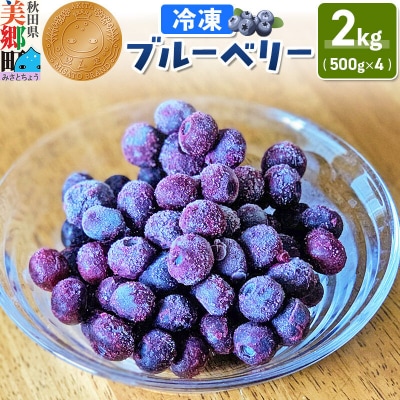 くろかわ農園 冷凍ブルーベリー 2kg(500g×4パック)|01_kkn-020401
