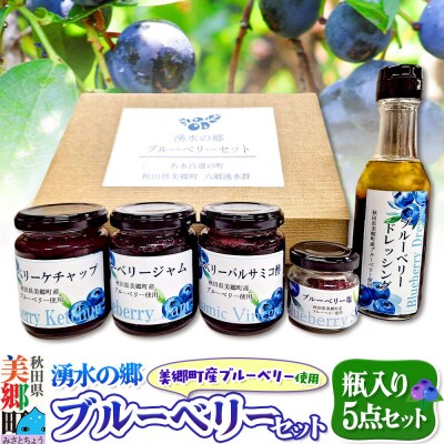 湧水の郷ブルーベリーセット 5点|01_mfd-010101
