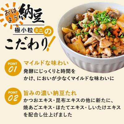 ヤマダフーズ おはよう 極小粒 ミニ 3パック×12個(計36個)|01_ymf-163601