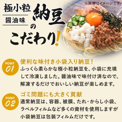 ヤマダフーズ 極小粒納豆 醤油味 30g 10個入|01_ymf-221001