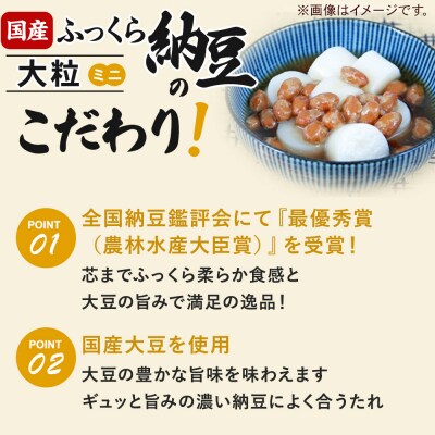 ヤマダフーズ 国産 ふっくら大粒 ミニ 2パック×8個(計16個)|01_ymf-231601
