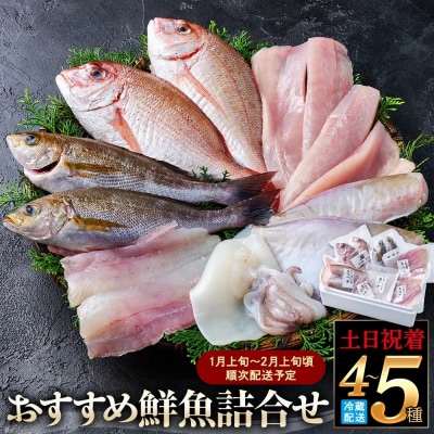 <土日祝着>おすすめ鮮魚詰め合わせ(4～5種類)【7～8月・年末年始配送不可】