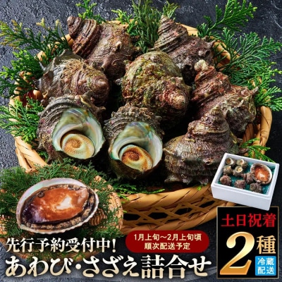 <土日祝着><1月上旬～2月上旬頃順次配送>あわび・さざえ詰合せ(2種)