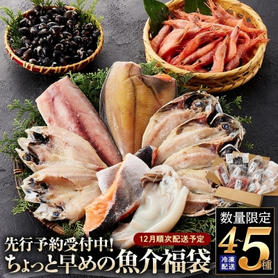 <数量限定!12月順次配送予定>ちょっと早めの魚介福袋(4～5種類)