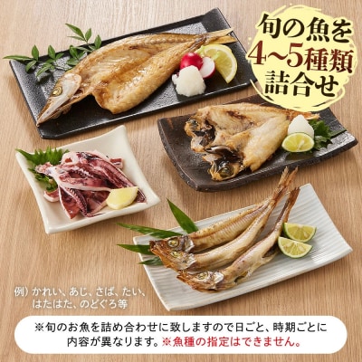 こだわりの一夜干詰合せ(4-5種類)