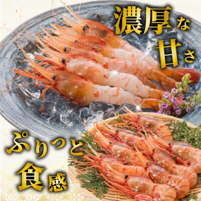 【数量限定】北海道苫前産 ボタンエビ 1kg(500g×2) ぼたんえび 牡丹海老 kit04