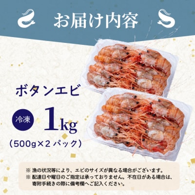 【数量限定】北海道苫前産 ボタンエビ 1kg(500g×2) ぼたんえび 牡丹海老 kit04