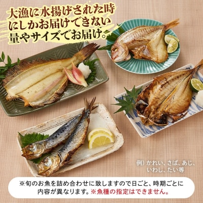 <数量限定>大漁時のみ限定!特盛干物詰合せ(総重量1.5kg以上)