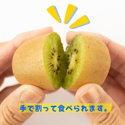 さぬきキウイっこ キウイフルーツ 1.8kg【先行受付中!令和8年11月中旬頃より】【A-114】