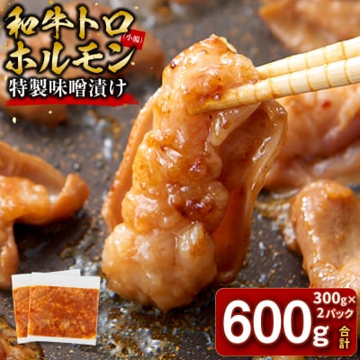 <訳アリ>和牛トロホルモン　特製味噌漬け　0.6kg(300g×2)【12月発送】