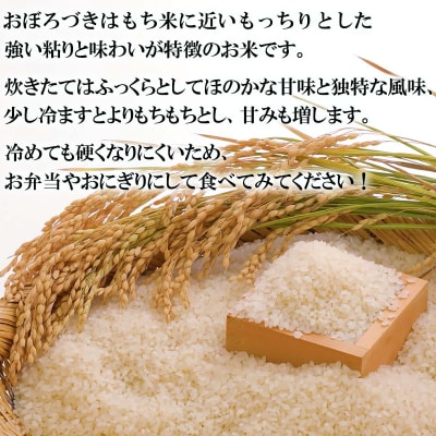 <10月中旬より発送開始>新米 令和8年度産 北海道米おぼろづき白米5kg<先行受付>