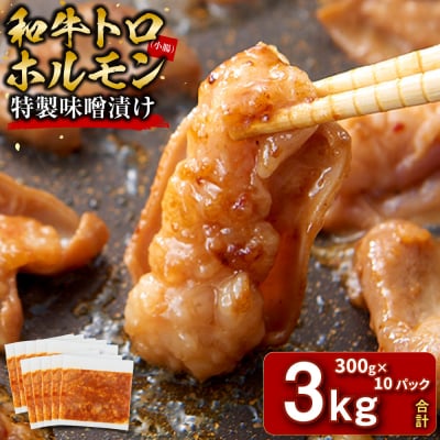 <訳アリ>和牛トロホルモン　特製味噌漬け　3kg(300g×10)【12月発送】