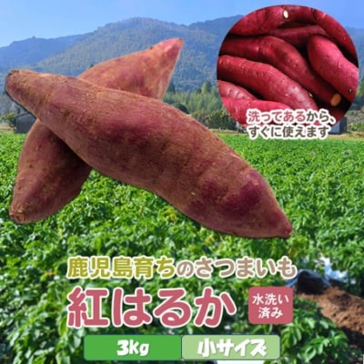 【2027年明け発送】【訳あり】【農家直送】薩摩で育てたさつまいも(紅はるか)ZS-635