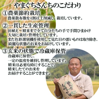 <10月中旬より発送開始>新米 令和8年度産北海道米おぼろづき玄米10kg(5kg×2)<先行受付>