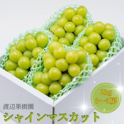 シャインマスカット2kg(3~5房) 令和8年度 贈答用 渡辺果樹園 【034S008】