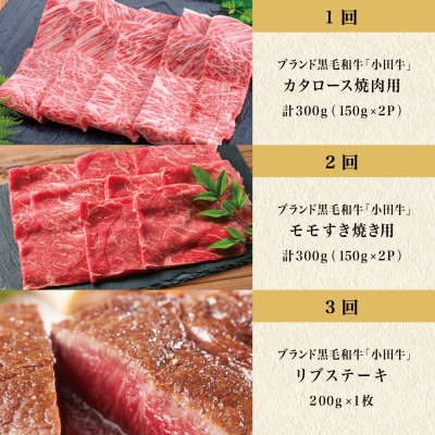 【全5回】プレミアムブランド「小田牛」定期便 [肉三昧]  鹿児島県産 黒毛和牛