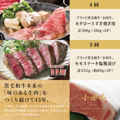 【全5回】プレミアムブランド「小田牛」定期便 [肉三昧]  鹿児島県産 黒毛和牛