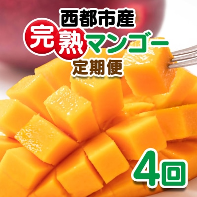 【定期便 4回お届け】宮崎県西都市産完熟マンゴー2玉(900g程度)先行受付[3326]