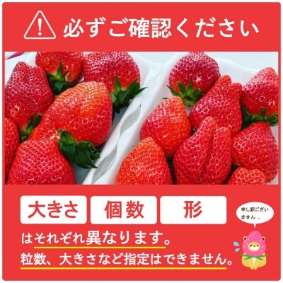 《先行受付》2月発送 いちご「 やよいひめ 」約270g×2パック クール便 ch002-007-2