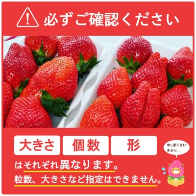 《先行受付》1月発送 いちご「やよいひめ」約270g×8パック クール便 ch002-009-1