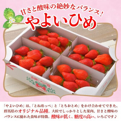 《先行受付》4月発送 いちご「やよいひめ」約270g×8パック クール便 ch002-009-4