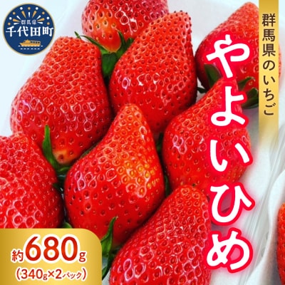 《先行受付》1月発送 いちご「やよいひめ」約340g×2パック クール便 ch002-010-1