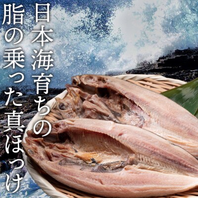 開きほっけ7枚セット<大川商店>