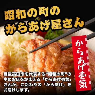 【からあげ壱気】 大分からあげ 600g×2セット(モモ、とりトロ、ムネ、ずり、手羽先)