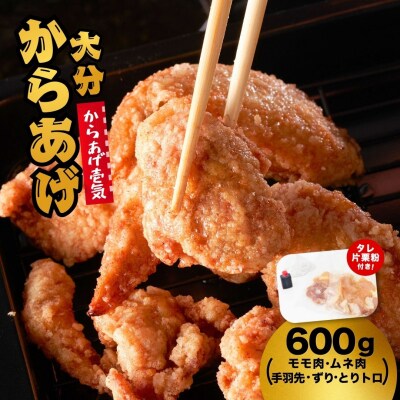 【からあげ壱気】 大分からあげ 600g (モモ、とりトロ、ムネ、ずり、手羽先)