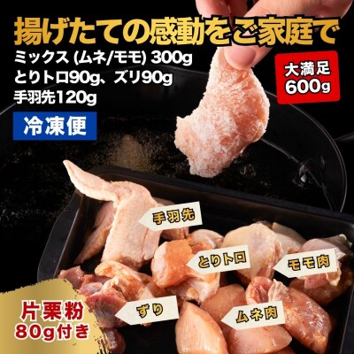 【からあげ壱気】 大分からあげ 600g (モモ、とりトロ、ムネ、ずり、手羽先)