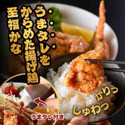 【からあげ壱気】 大分からあげ 600g (モモ、とりトロ、ムネ、ずり、手羽先)
