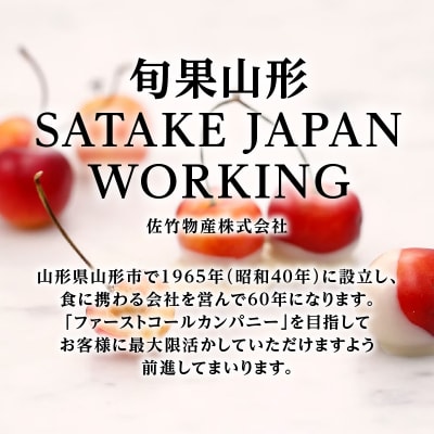 【2026年度先行受付】さくらんぼ佐藤錦 約720g 秀品【6月より順次発送予定】 063-011