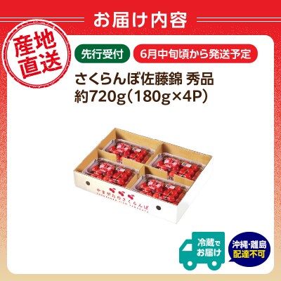 【2026年度先行受付】さくらんぼ佐藤錦 約720g 秀品【6月より順次発送予定】 063-011