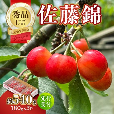 【2026年度先行受付】さくらんぼ佐藤錦 約540g 秀品【6月より順次発送予定】 063-012